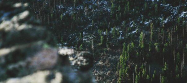 functools python avancé