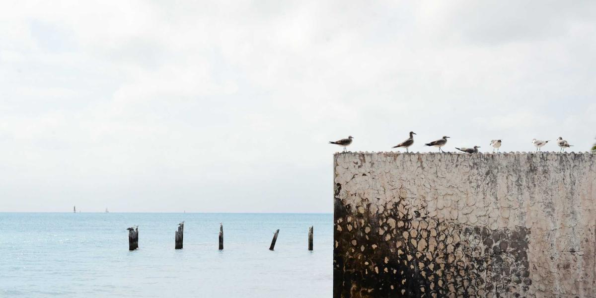 programmation asynchrone asyncio