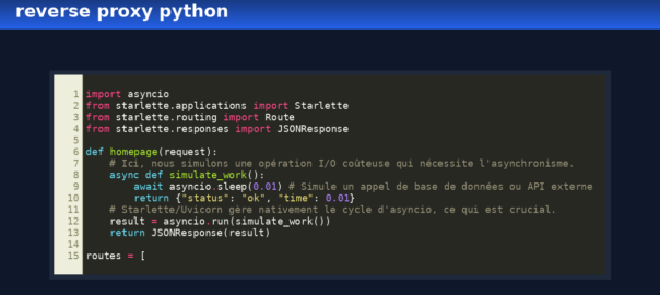 reverse proxy python